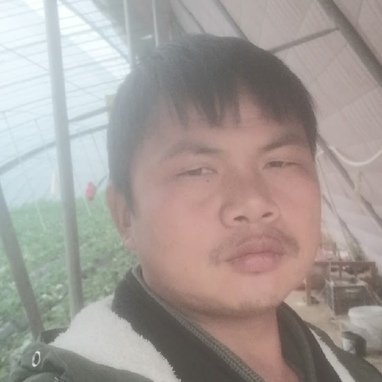 孤狼‘的第一张照片--南京相亲服务中心