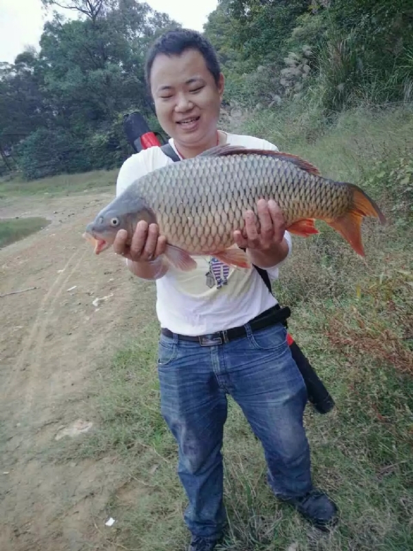 迷路的男人的第一张照片--南京相亲服务中心