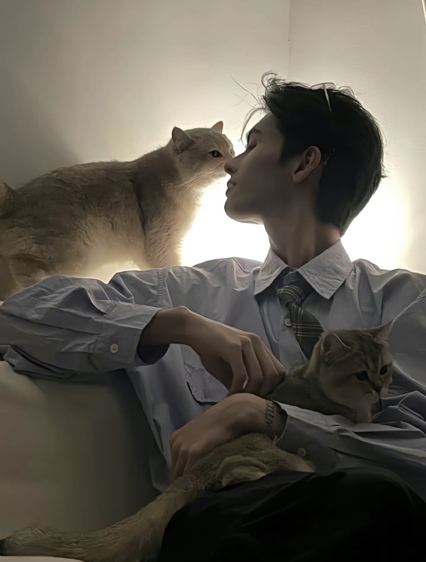 怪猫的第一张照片--南京相亲服务中心